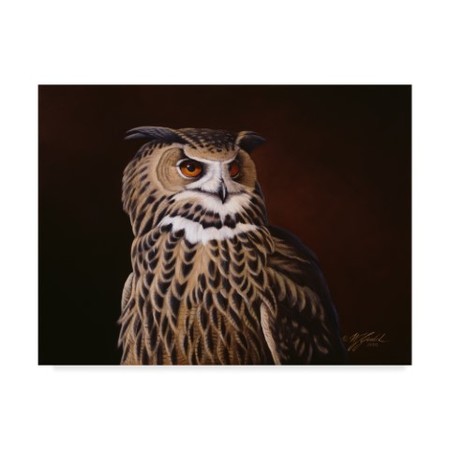 Wilhelm Goebel 'Eagle Owl' Canvas Art,18x24